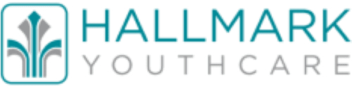 A green background with the words " allmer youth ".